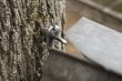 Vermont Maple Sugaring