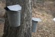 Vermont Maple Sugaring