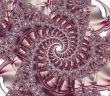 Rose Spiral