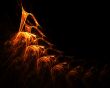 Licking Flames