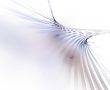 High Speed against White