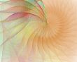 Cream Shell Spiral