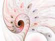 Spiral Fame agaisnt White