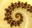 Earthen Spiral