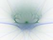 Solitary Blossom