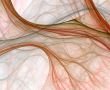 Thread Flows