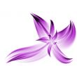 Purple Flower