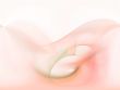 Smooth Illustration