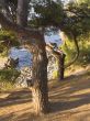 Old park