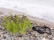 Glasses of the swimmer on a sea beach