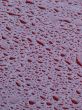 Waterdrops texture detailed background