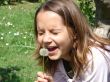 The girl playing with a dandelion