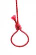 red noose isolated on white