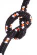 black knot isolated on white close-ups