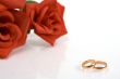 Two wedding rings and red rose at the background