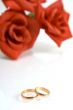 Two wedding rings and red rose at the background