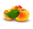 fresh apricot with green leaf