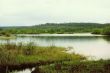 lake scape