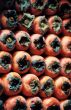 orange fruits