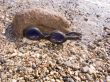On a sea beach