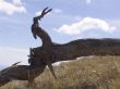 Silhouette of a hare