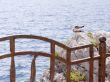 Two seagulls on a rock.
