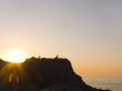 The seagull on a background of a rising sun