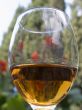 Glass with a wine