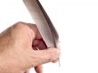 The bird`s feather in a hand