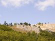 Mountain landscape