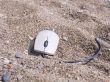 The computer mouse