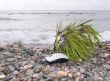 The computer mouse on a beach