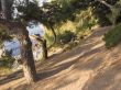 Old park in Crimea