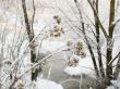  frosty day with the river