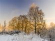 Winter landscape about a frosty sunny day