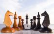 Combination from chessmen and the computer mouse