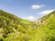 Canyon with the mountain river