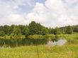 Wood lake