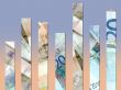 Money graph