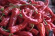 red peppers