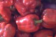 red peppers