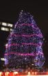 Festive decorated tree