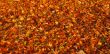 Autumn carpet