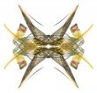 Abstract magic background