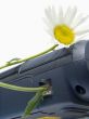 Flowers of a camomile on E-Mail