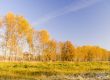 Colourful autumn landscape