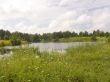 Wood lake