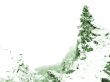 Winter landscape