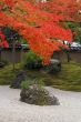 Autumn Japanese garden