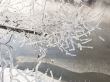 hoarfrost